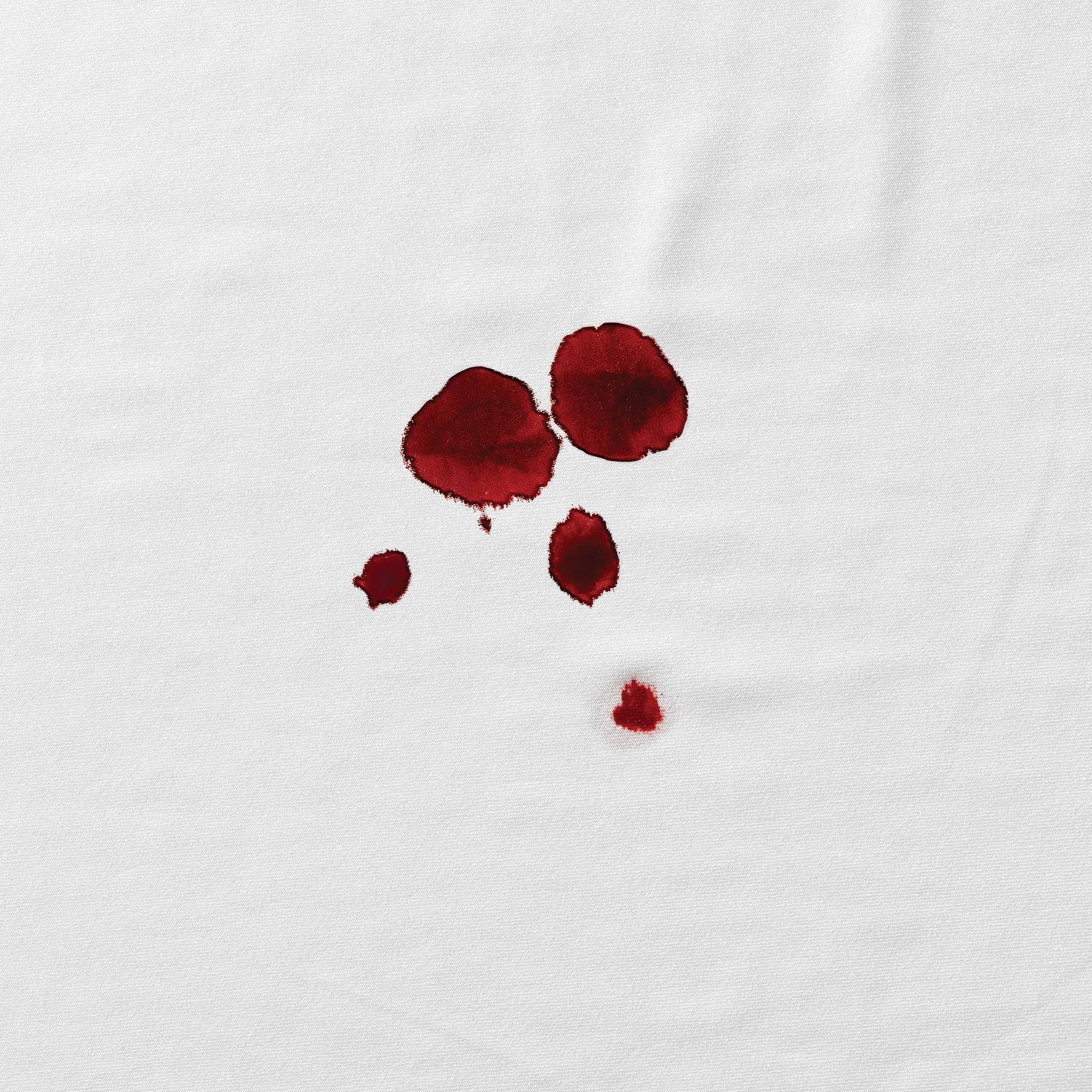 Adiós Manchas: Sangre y Proteínas - Image 2