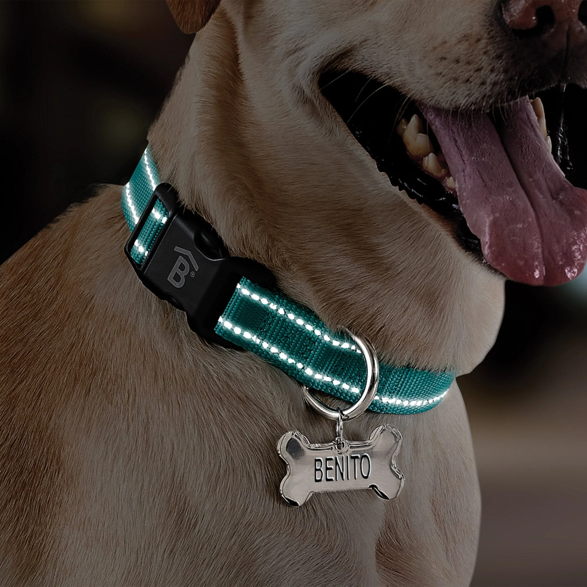 Collar Reflect - Image 2