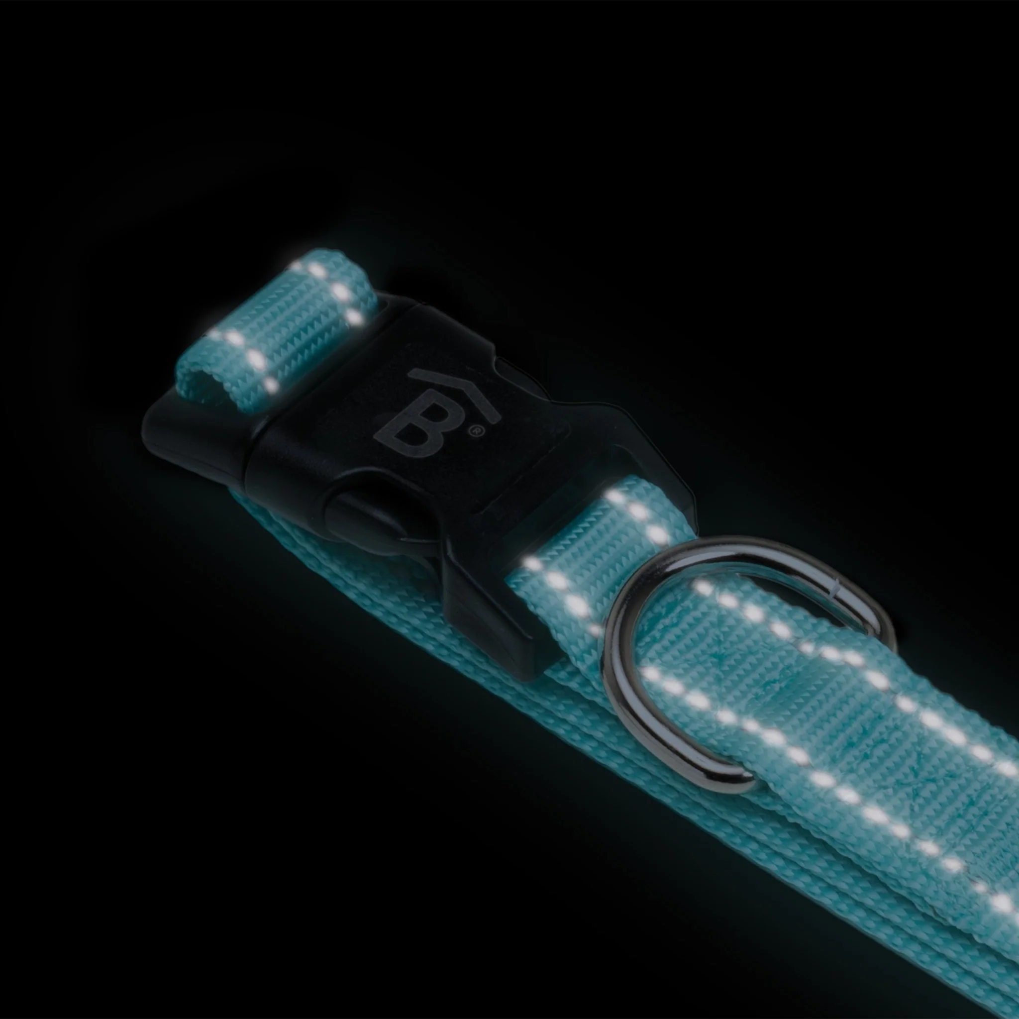 Collar Reflect - Image 3