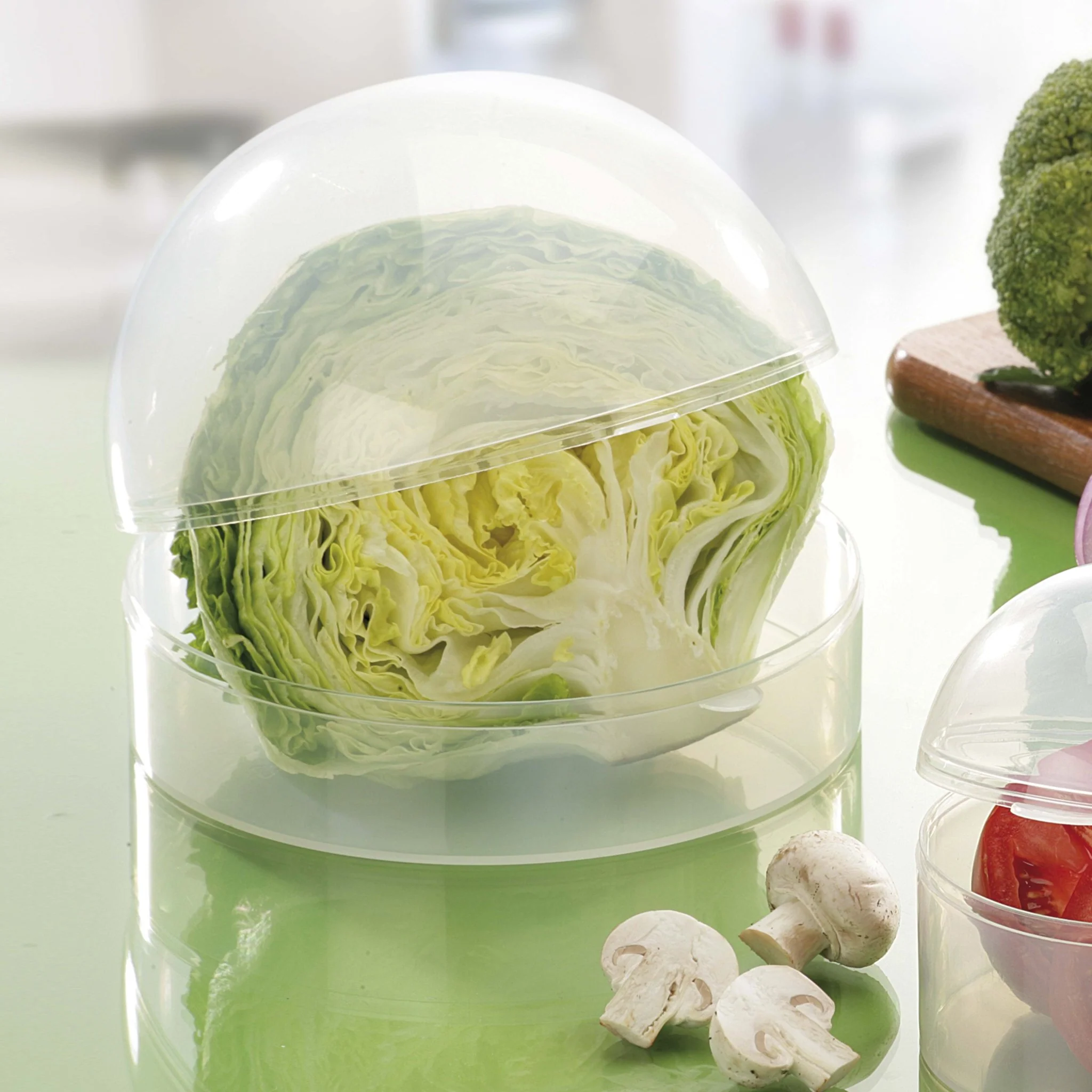 Guarda Lechuga - Image 2