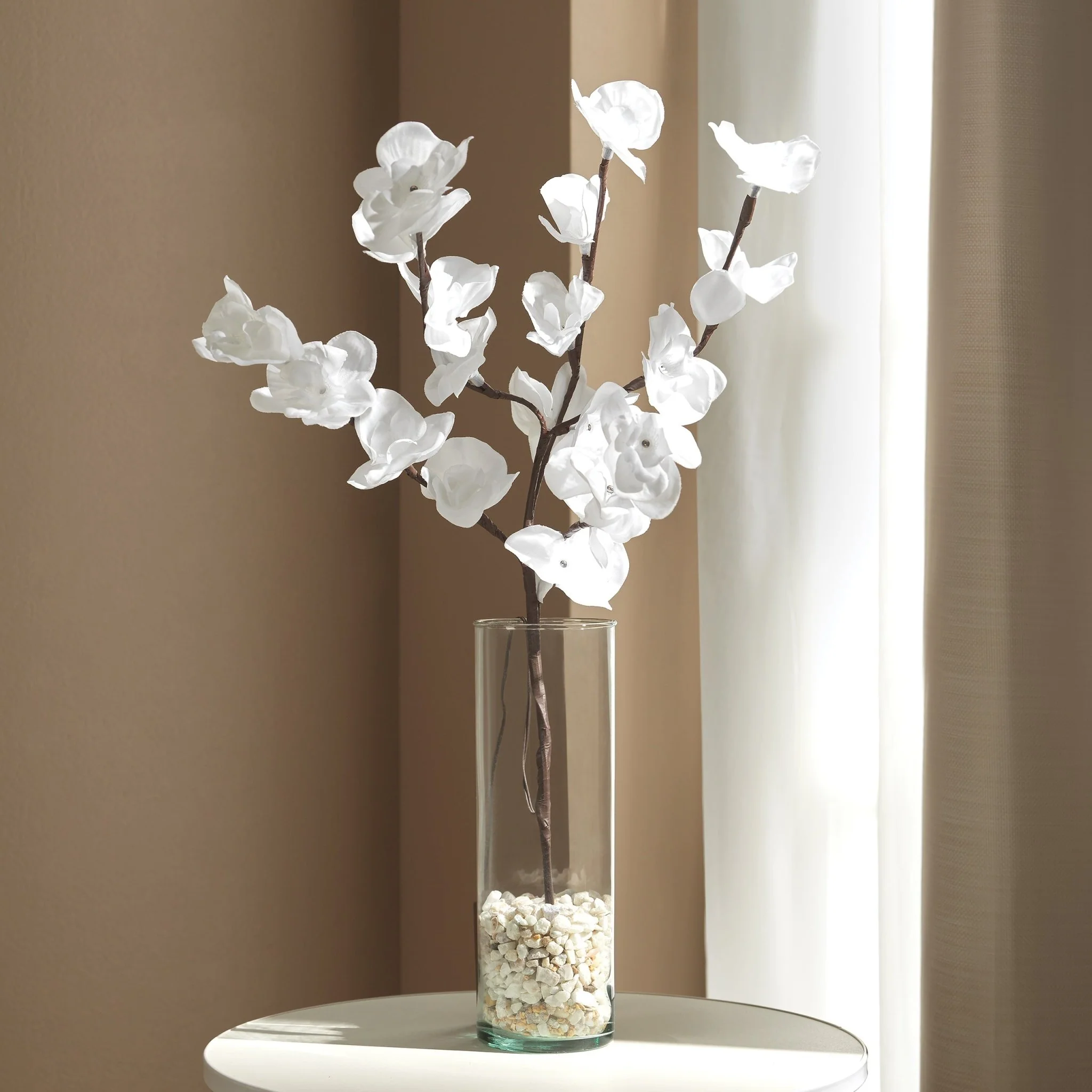 Lumi Orquídeas - Image 2