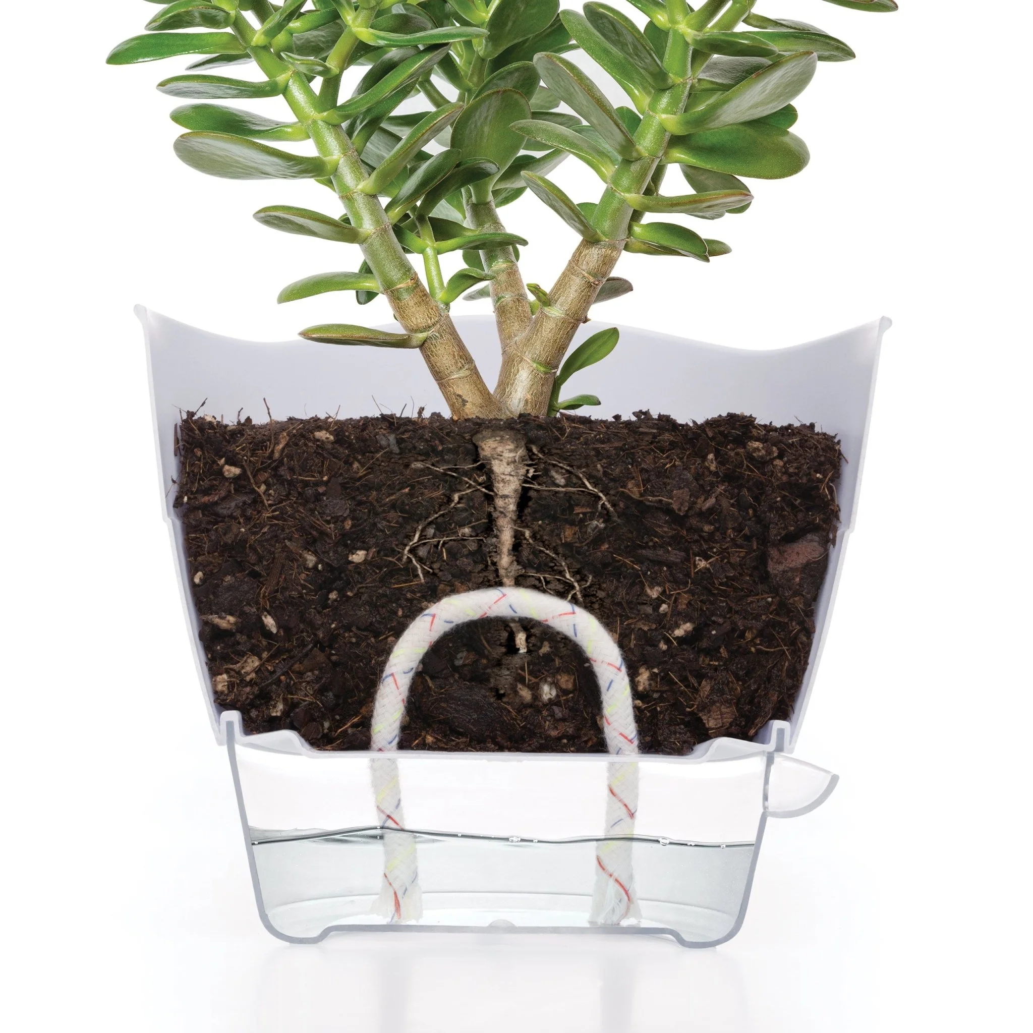 Maceta Riega Fácil - Image 2