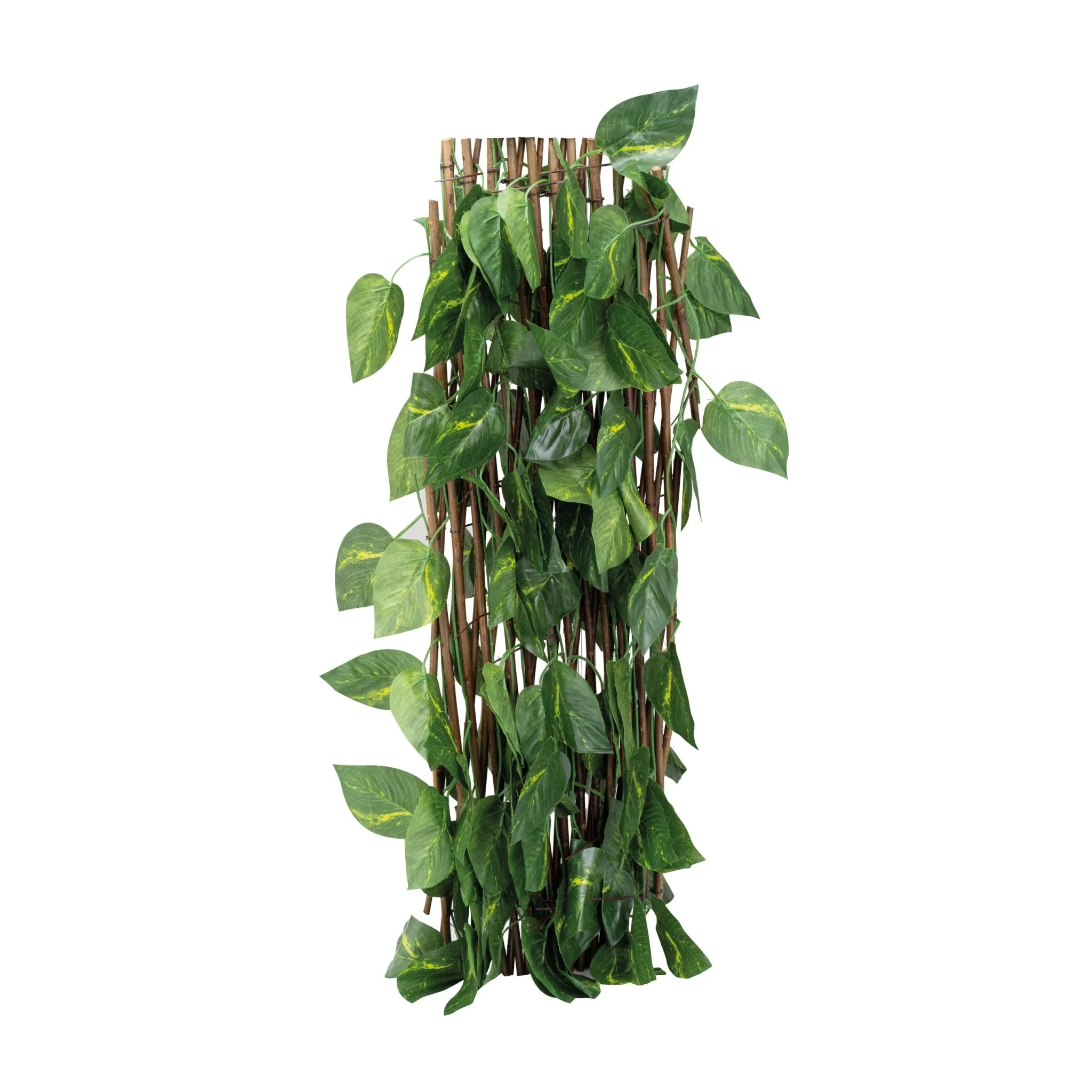 Muro Verde - Image 3